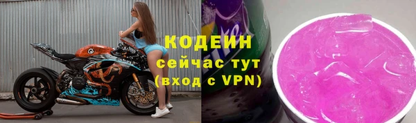 эйфоретик Бородино