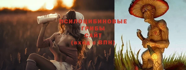 эйфоретик Бородино