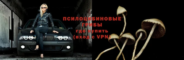 Альфа ПВП Бугульма