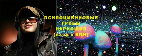 Альфа ПВП Бугульма