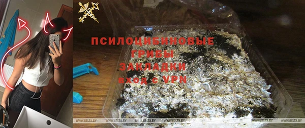 эйфоретик Бородино