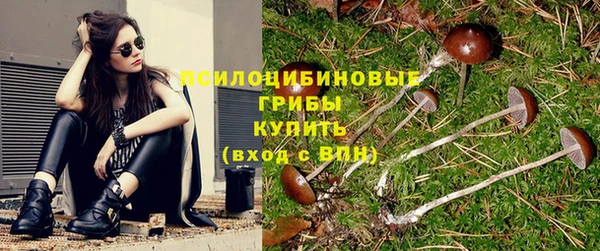 эйфоретик Бородино