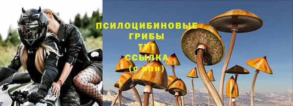 Альфа ПВП Бугульма